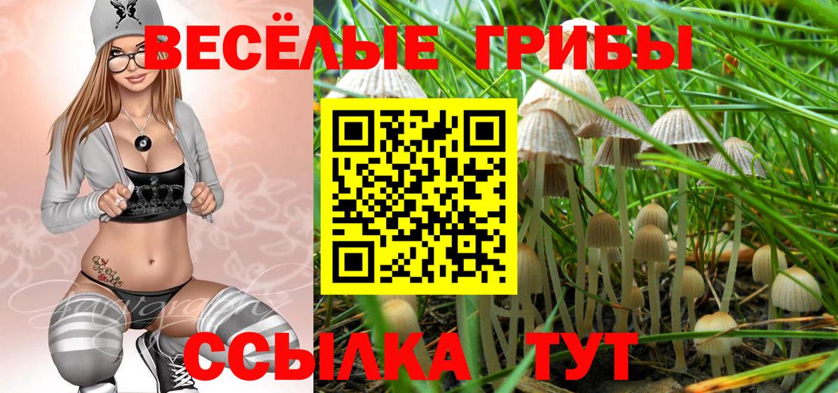 Псилоцибиновые грибы прущие грибы Химки
