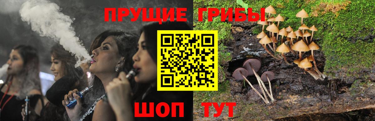 Галлюциногенные грибы Magic Shrooms  где можно купить   Химки  Вход с VPN 